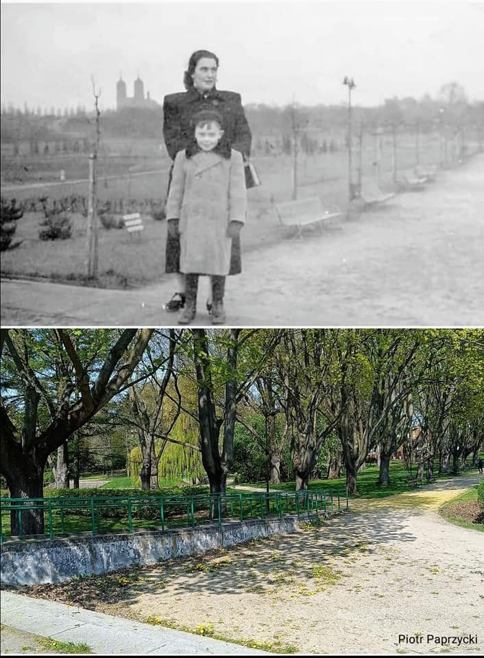 Zestawienie dwóch zdjęć na górze archiwalne, na dole współczesne. Park Widzewski. Na górze mama z synem, w tle widać kościół. N dole zarośnięty drzewami park.