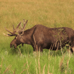 vlcsnap-2025-06-24-15h24m48s414