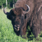 vlcsnap-2025-06-24-15h25m09s005