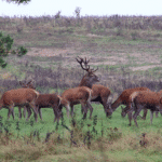 vlcsnap-2025-06-24-15h27m38s175