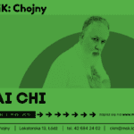 tai chi 1